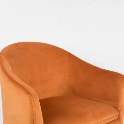 Mangohoutonline Fauteuil Astrid Oranje Jacob Jenzens