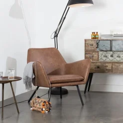 Mangohoutonline Loungefauteuil Axel Bruin Jacob Jenzens