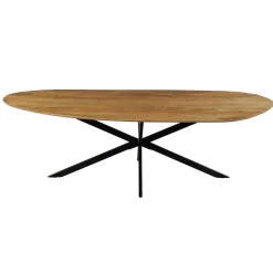 Mangohoutonline Mangohouten Eettafel Organisch Alessia 220x110 cm Mahom