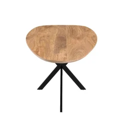 Mangohoutonline Mangohouten Eettafel Organisch Laura 210x100 cm Mahom