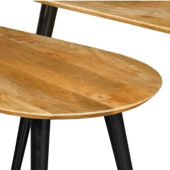 Mangohoutonline Mangohouten Salontafels Perugia Mahom - Set van 2